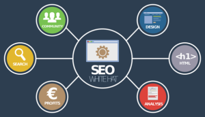 search marketing